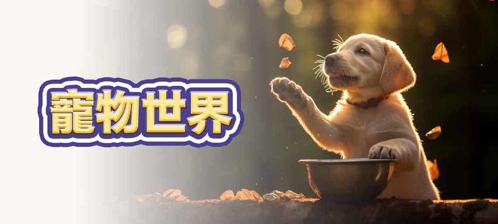 寵物世界