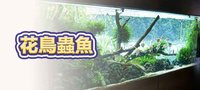 花鳥蟲魚