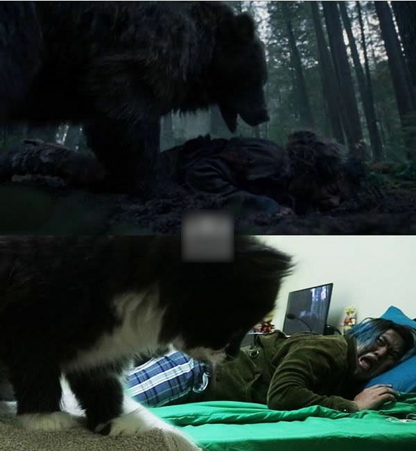 08.jpg