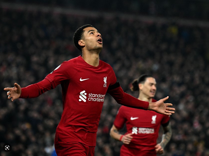 螢幕擷取畫面 2023-02-15 000449.jpg