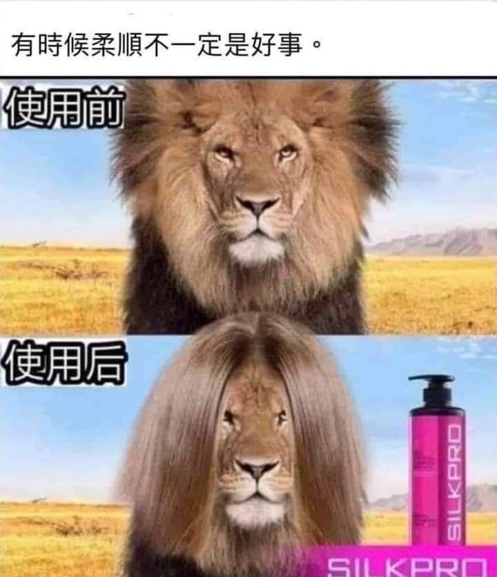 FB_IMG_1678316071134.jpg