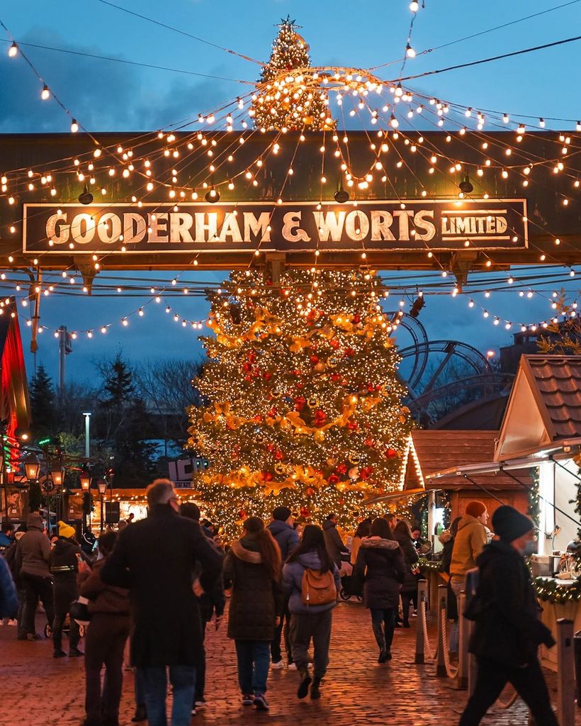 2013 Xmas toronto.jpg