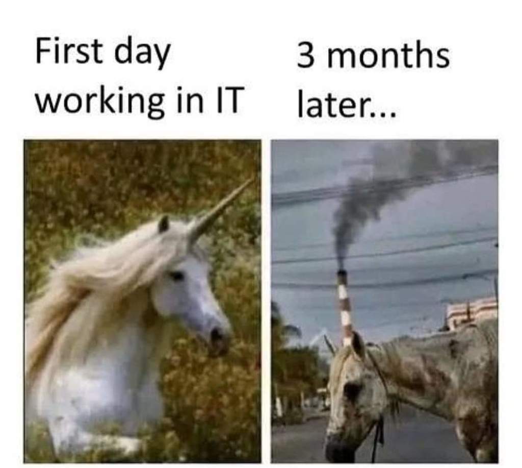 FB_IMG_1677289001149.jpg