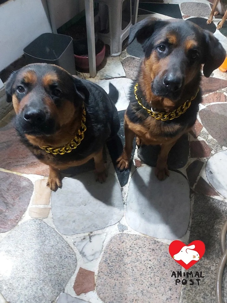 3 囡囡（左）與Roy（右）。.jpg