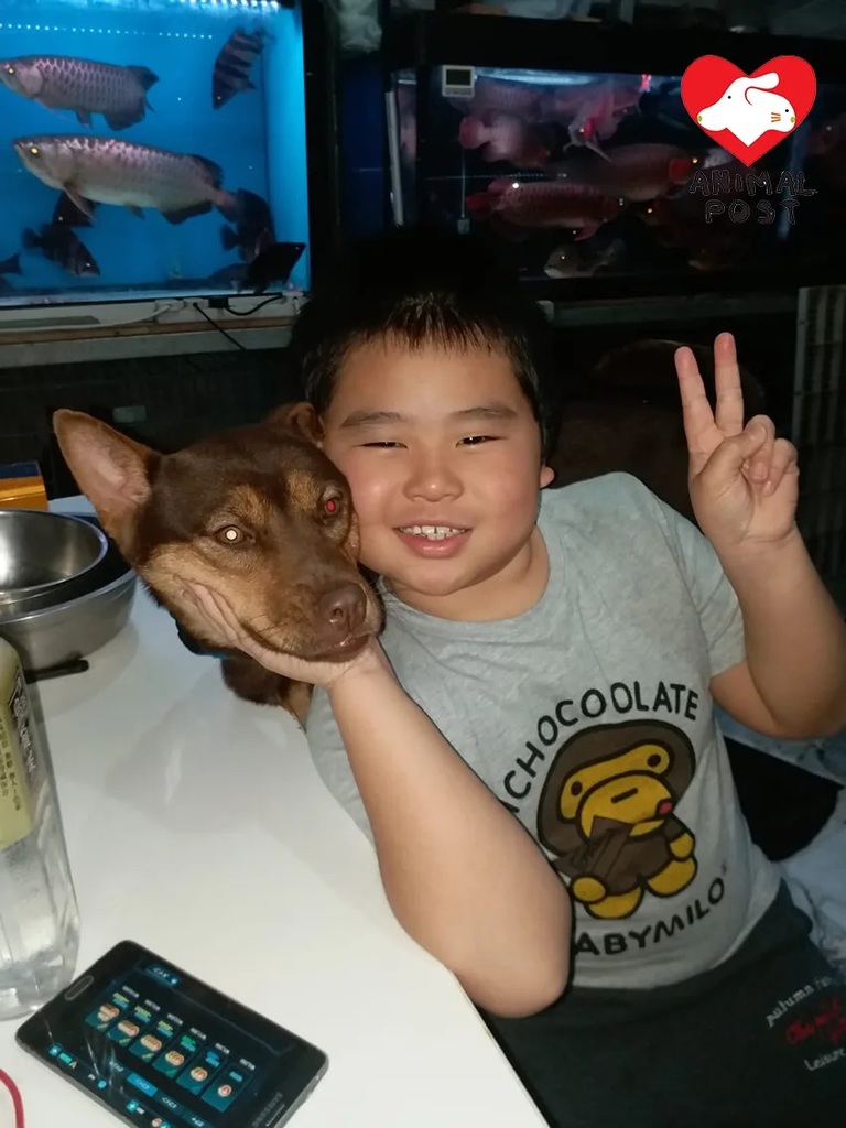 7 狗主陳先生的兒子與唐狗女感情甚好。.jpg