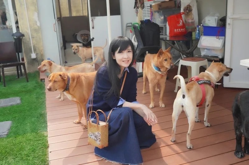 2  周慧敏探訪流浪動物之家。.jpg