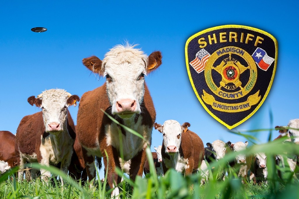 attachment-Madison-County-Sheriffs-Office-What-Causes-Cow-Mutilations-Canva.jpg