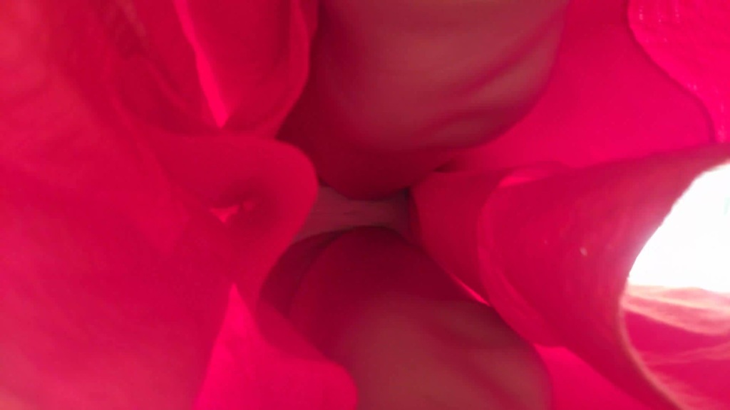 最新购买分享私房100RMB作品❤️魔手☛CD高气质ZY电视台的美女靓妹们（第四套）4K高清原版 350.jpg.jpg