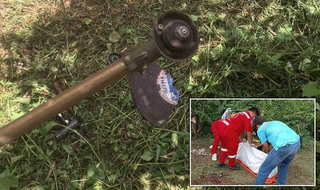 horror-as-thai-gardener-slices-off-his-penis-with-a-garden-strimmer.jpg