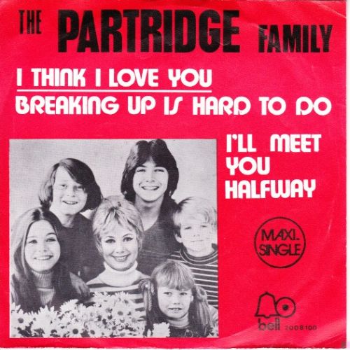 the_partridge_family-i_think_i_love_you_s_3.jpg