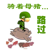 騎豬路過.gif