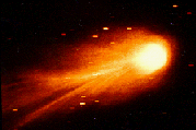 m_halley2-small.gif