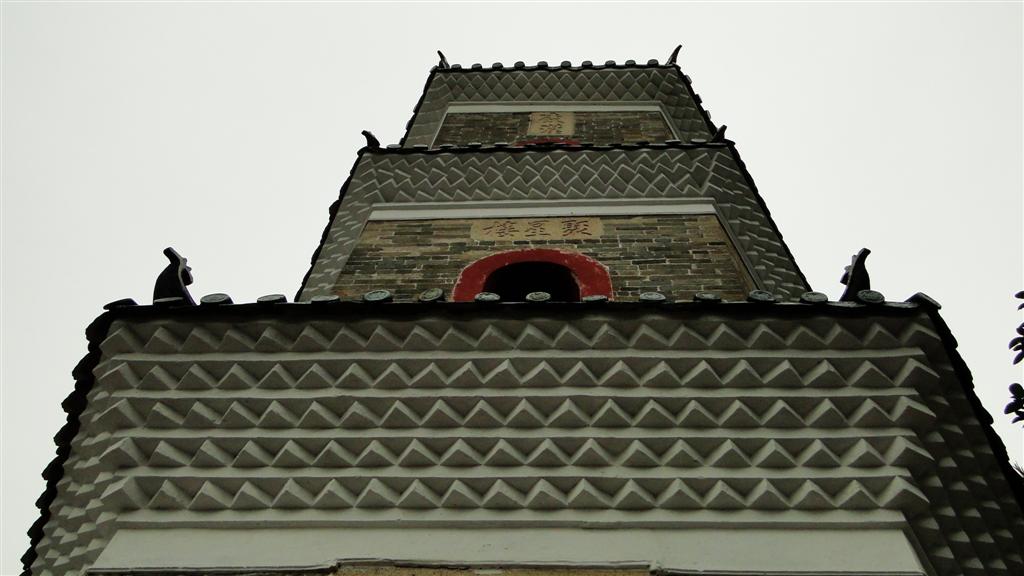 DSC02488 (Large).JPG