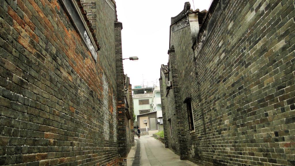 DSC02499 (Large).JPG