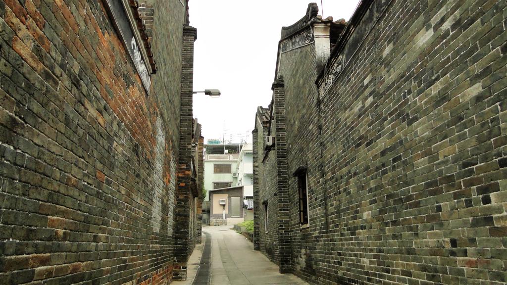 DSC02498 (Large).JPG