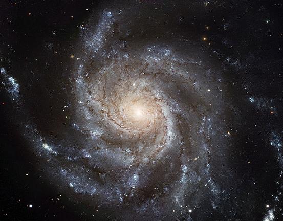 m101.jpg