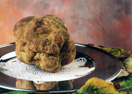 Fresh_Truffle_From_Tuscany_Italy.jpg