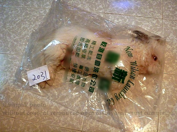 photo by mungsik.jpg