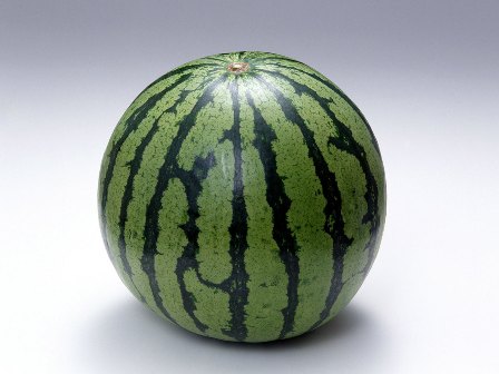 WatermelonS.jpg
