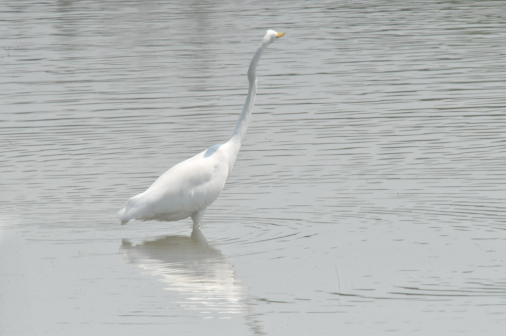 DSC_3435.jpg