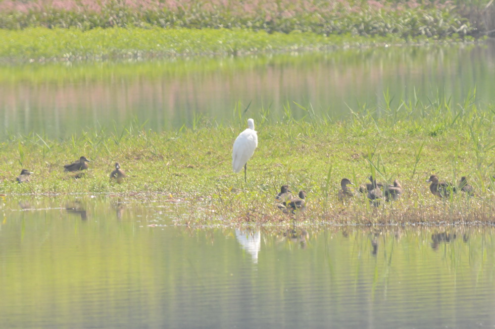 DSC_3538.jpg