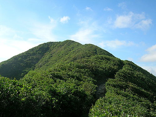 紫羅蘭山.jpg