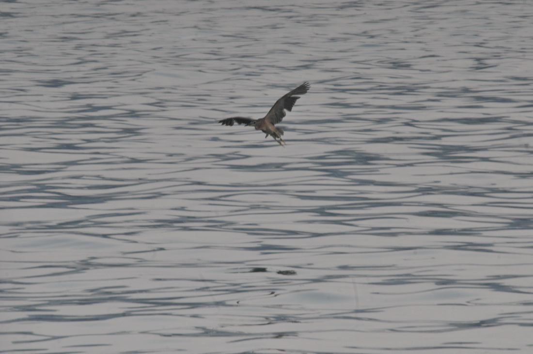 DSC_6119.jpg
