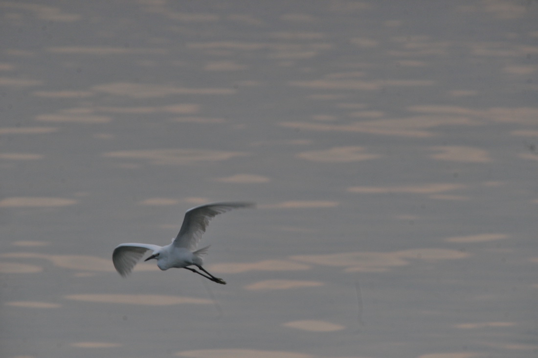 DSC_6281.jpg