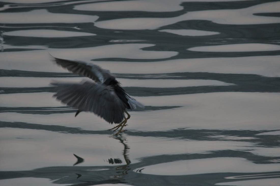 DSC_6419.jpg