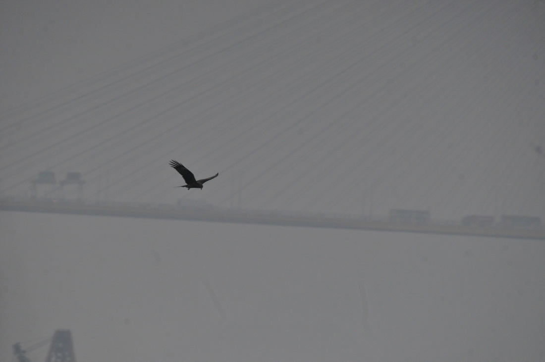 DSC_6438.jpg