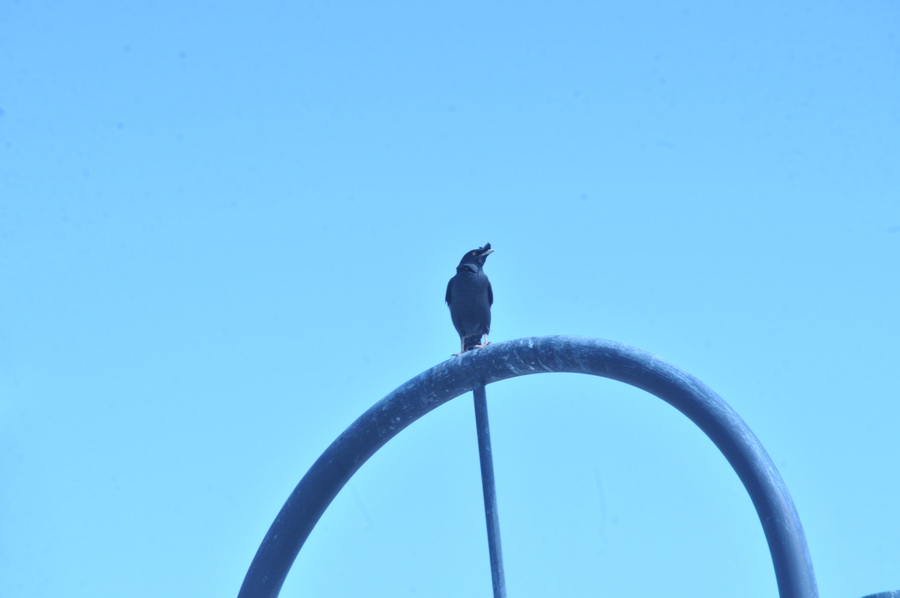 DSC_7486.jpg
