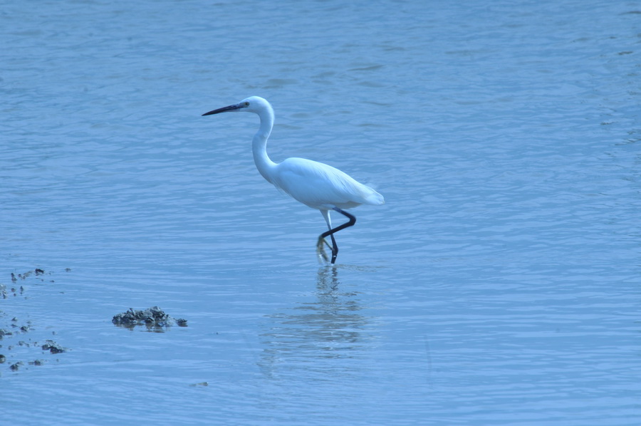 DSC_7545.jpg