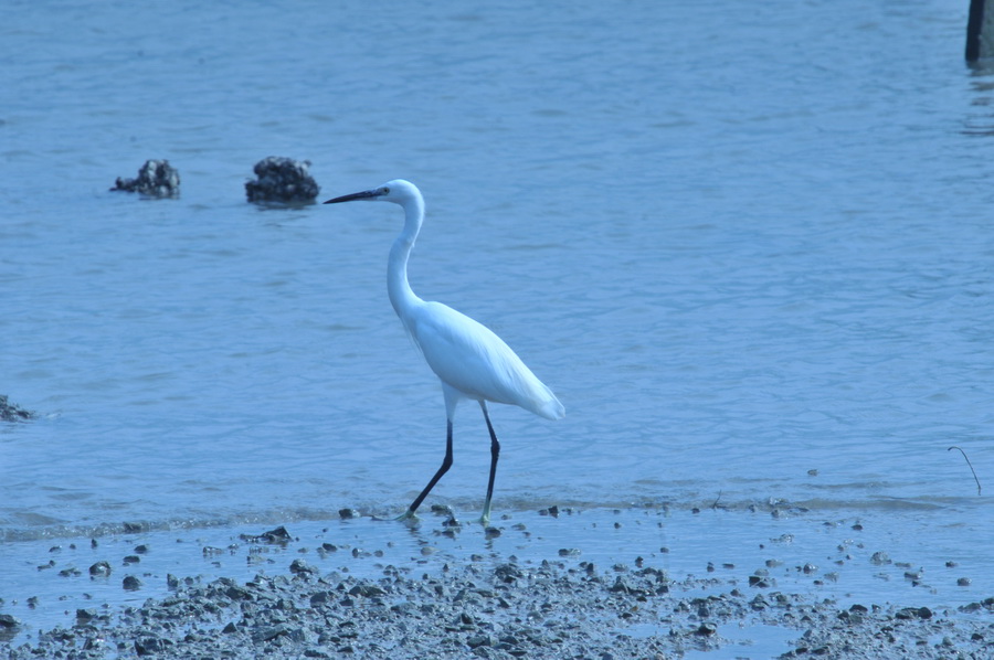 DSC_7550.jpg