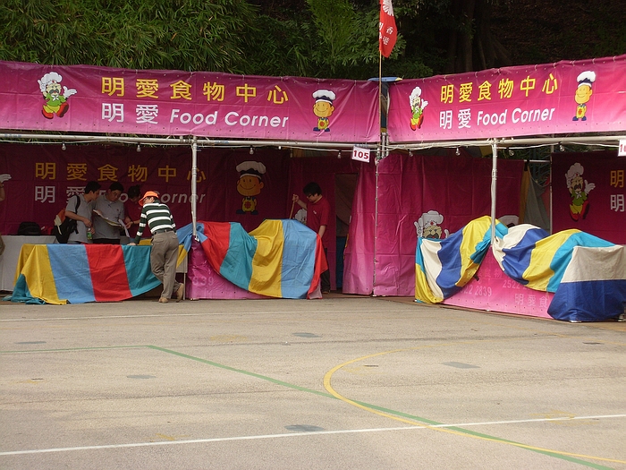 SL381132.JPG