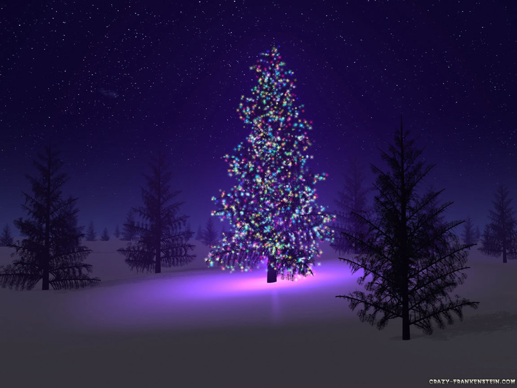 beautiful-christmas-tree.jpg