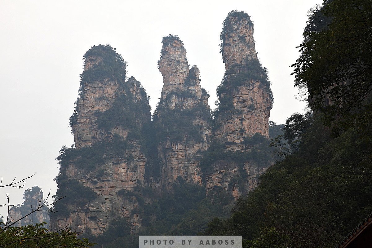 ZJJimage_4.jpg