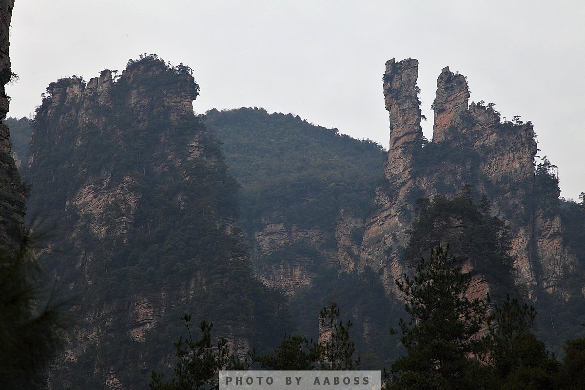 ZJJimage_5.jpg