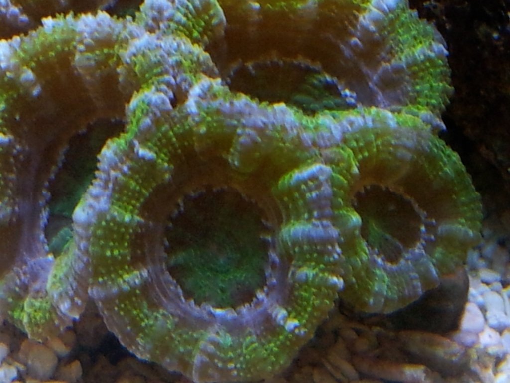 2011-11-23 13.29.10.jpg