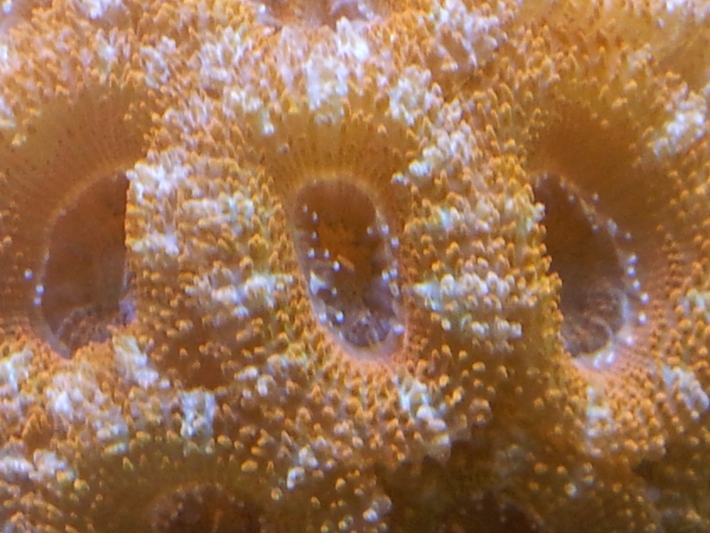 2011-11-23 13.29.28.jpg