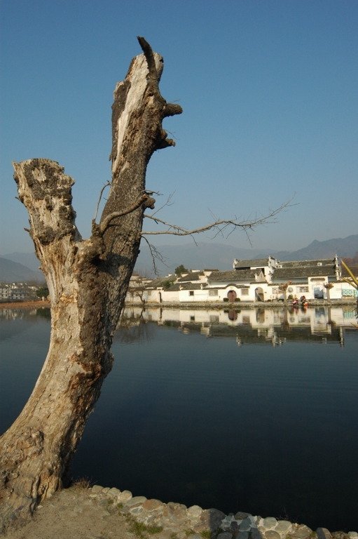 DSC_0030 (複製).JPG