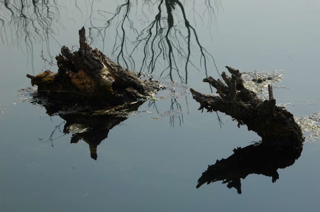 DSC_0096 (複製).JPG