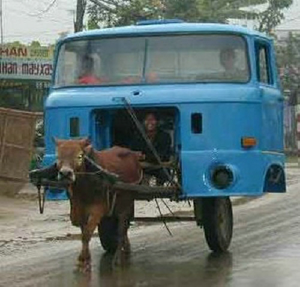 05.jpg