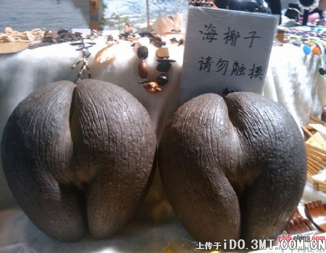 創意無限1010011221398515.jpg