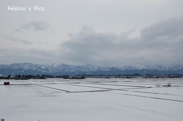 滿地白雪隨拍-002.JPG