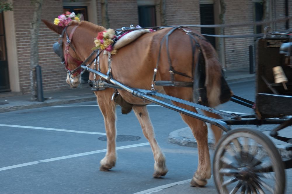 nEO_IMG_20050117-DSC_0038.jpg