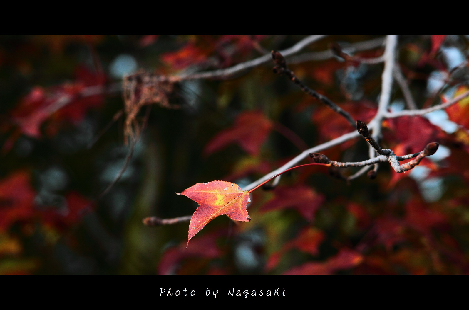 IMG_0875 F_調整大小.jpg