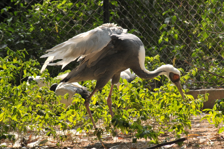 DSC_3558.jpg