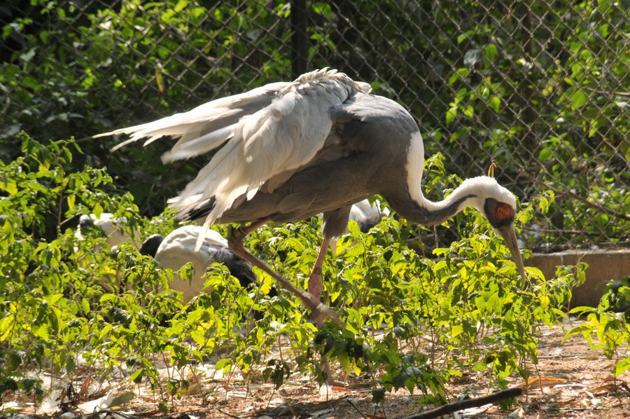 DSC_3559.jpg