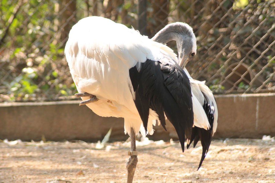 DSC_3560.jpg