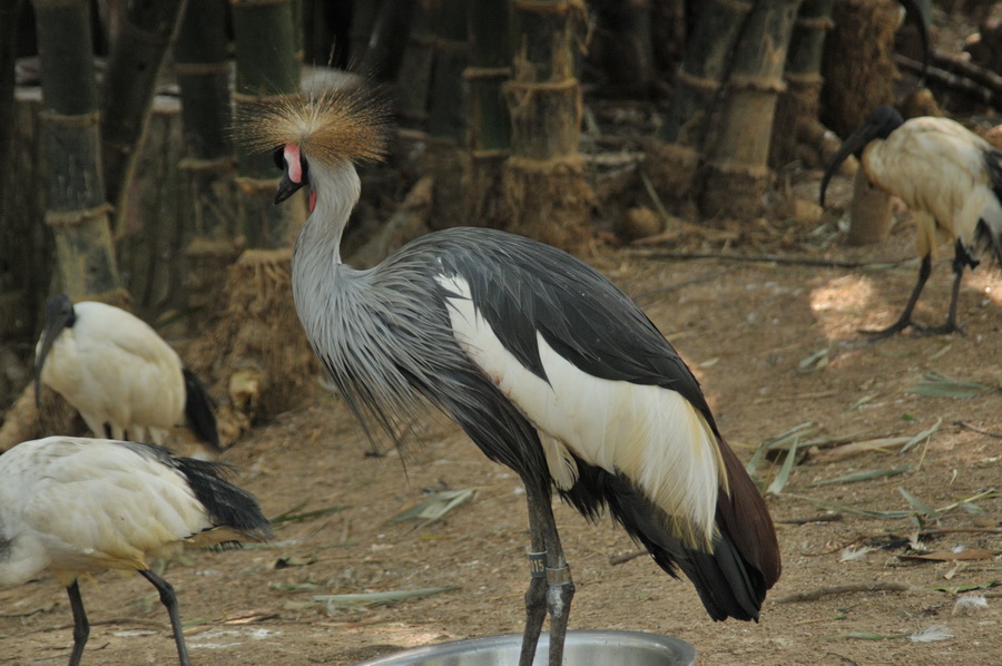 DSC_3561.jpg